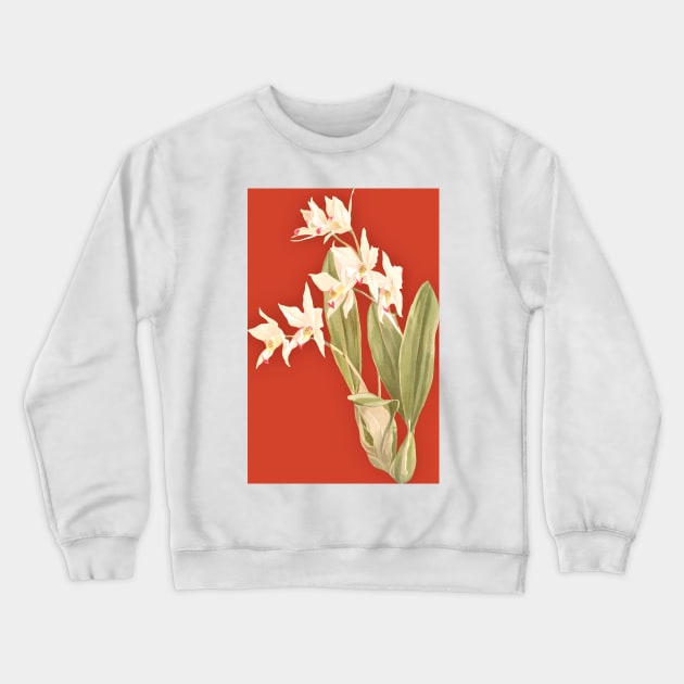 Cream Orchids Crewneck Sweatshirt by Minxylynx4